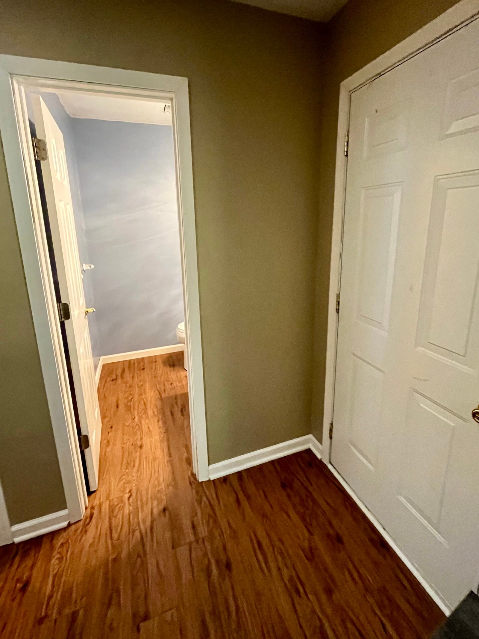 New luxury vinyl plank flooring and interior door